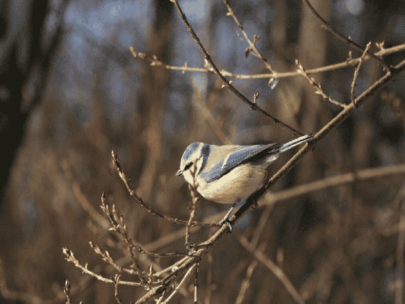 珠海代怀最好医院,泰国试管价格高吗？-珠海有没有供卵机构_珠海供卵试管医院